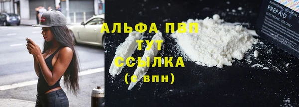 дмт Ладушкин