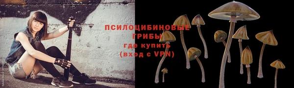 MESCALINE Кукмор