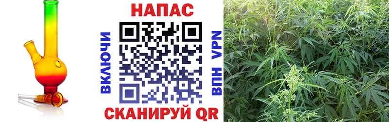 Бошки марихуана SATIVA & INDICA  Кропоткин 